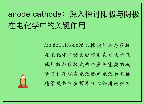anode cathode：深入探讨阳极与阴极在电化学中的关键作用